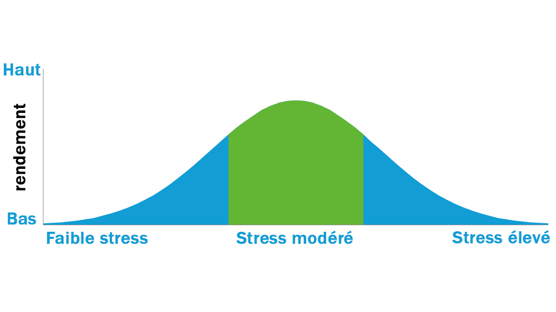 Les 4 grandes stratégies – Le lien entre stress et rendement