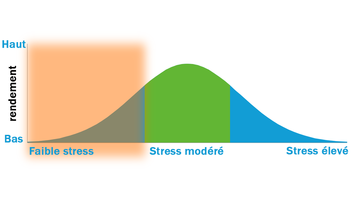 Les 4 grandes stratégies – Le lien entre stress et rendement