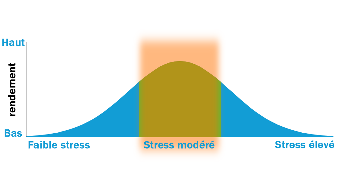 Les 4 grandes stratégies – Le lien entre stress et rendement