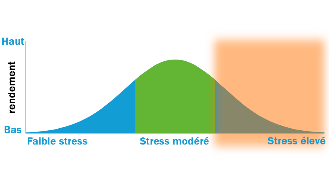 Les 4 grandes stratégies – Le lien entre stress et rendement